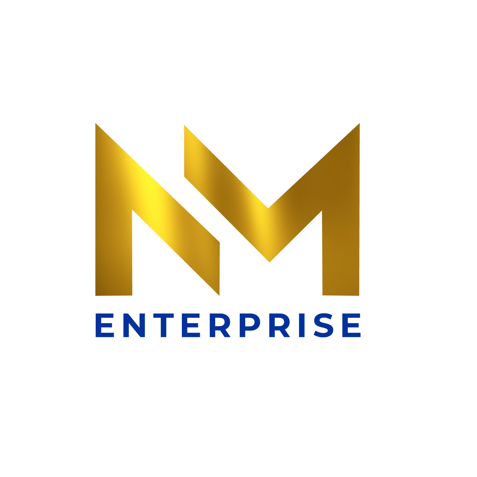 NM LOGO